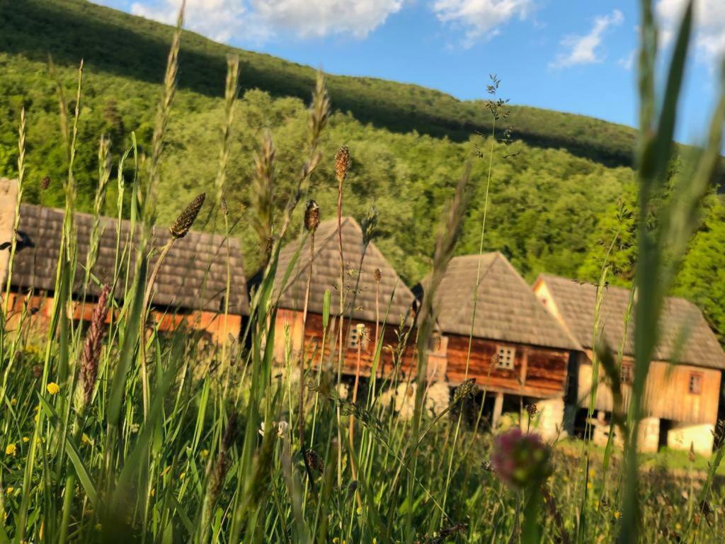 Apartman Danijela Otočac Exterior foto